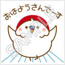 だじゃれインコの関西弁「おはようさんでーす」